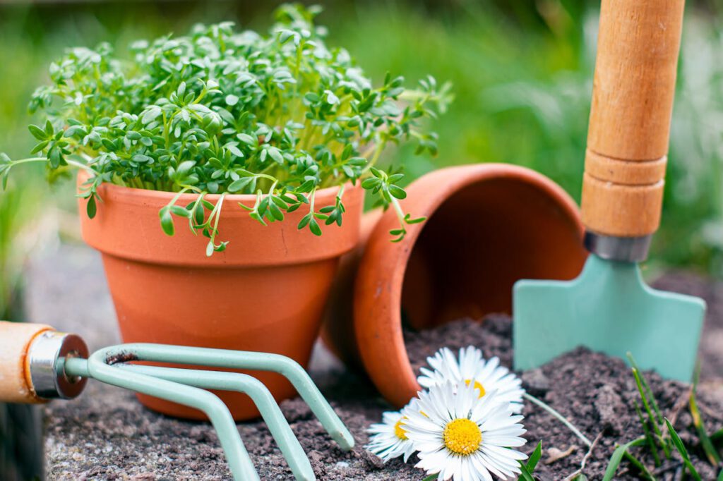 a planter with a plant and a gardening trowel next to it.